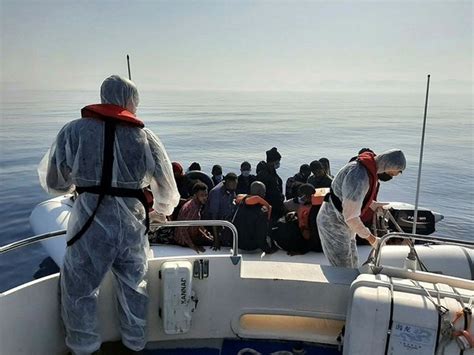 İ­z­m­i­r­ ­a­ç­ı­k­l­a­r­ı­n­d­a­ ­6­1­ ­s­ı­ğ­ı­n­m­a­c­ı­ ­k­u­r­t­a­r­ı­l­d­ı­